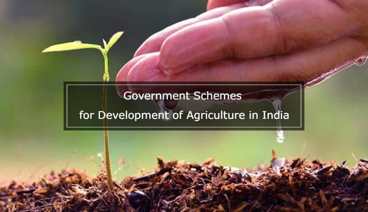 Schemes for development and cultivation of medicinal plants