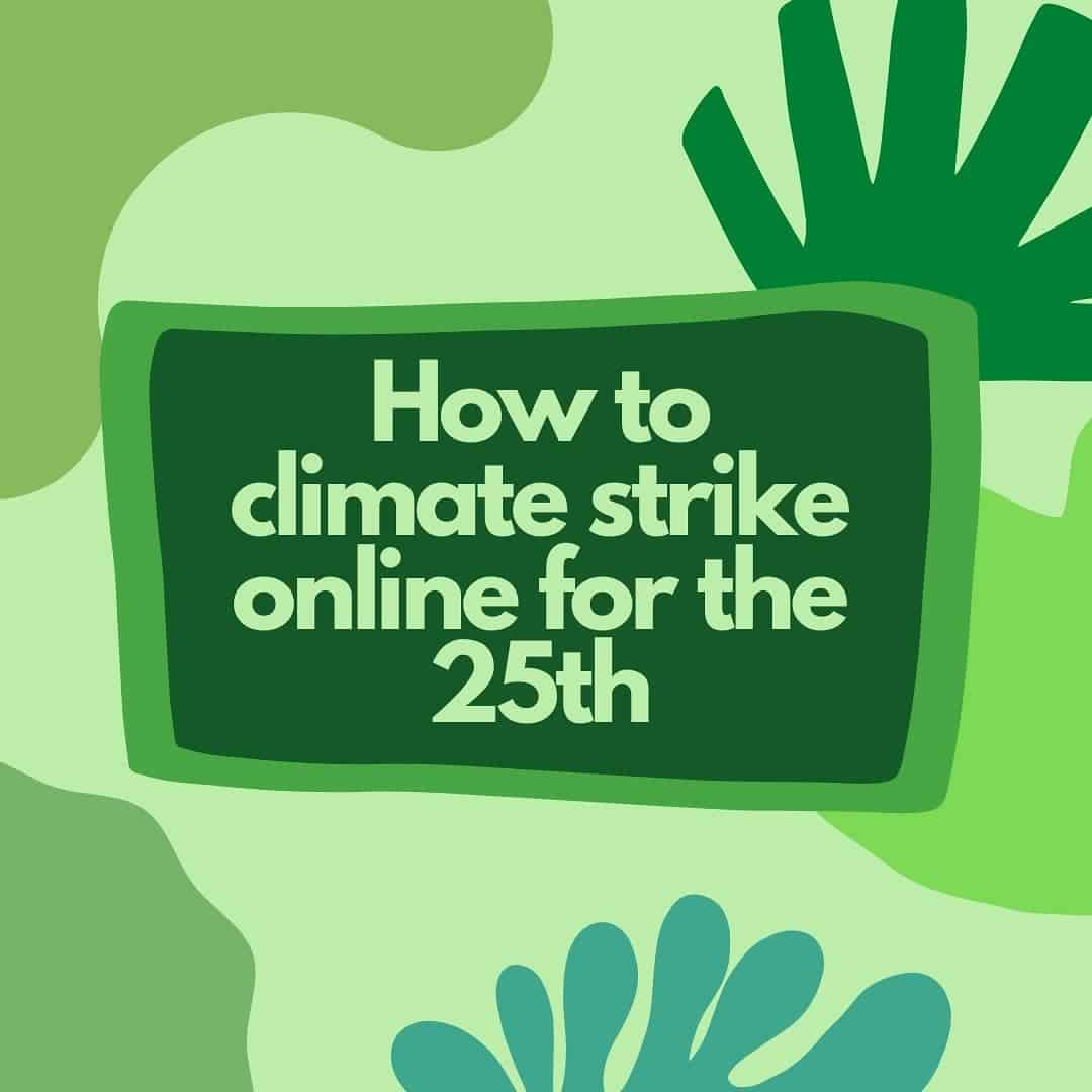 How to Climate Strike Online for the 25th