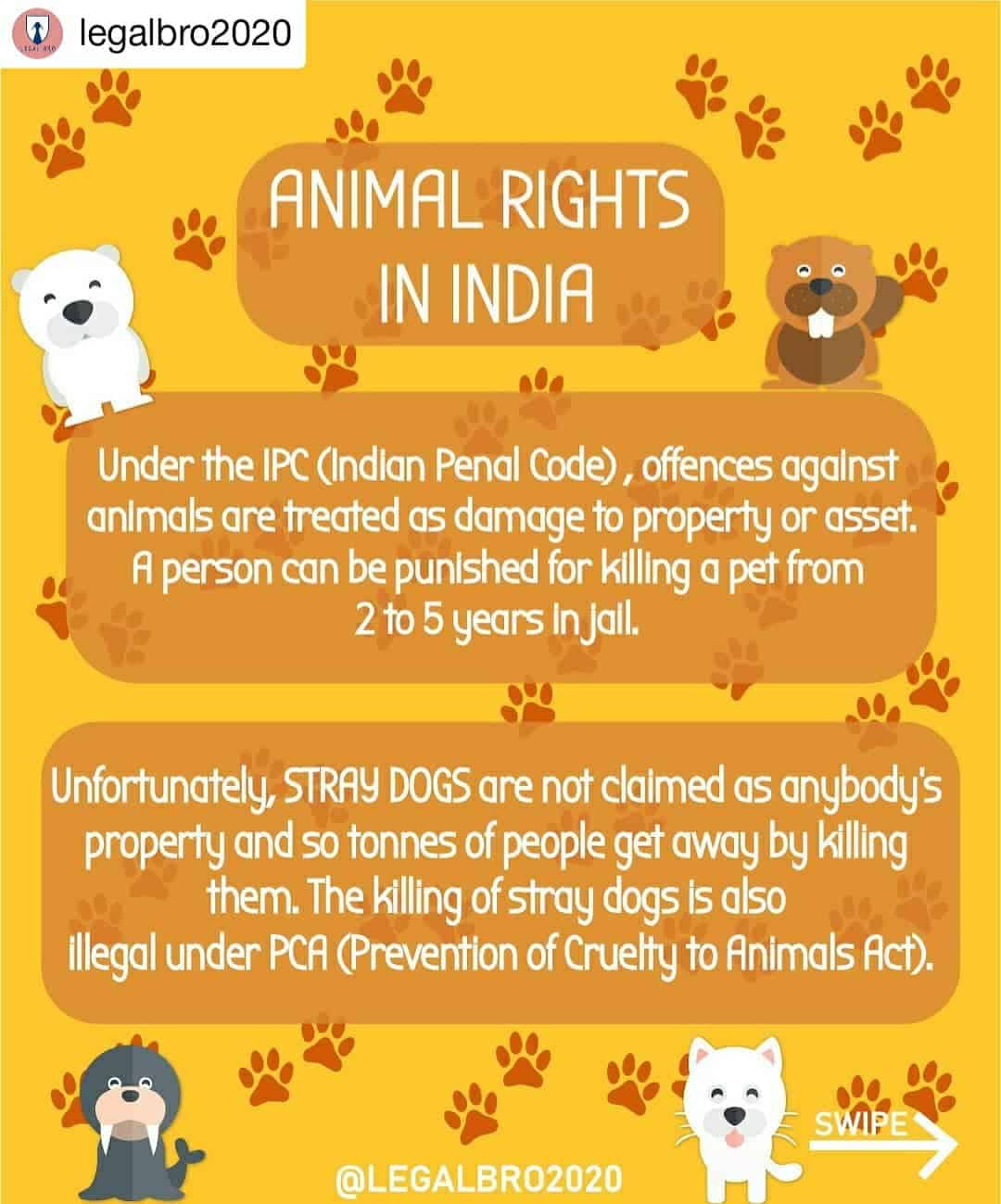 Animal Rights in India – ActforGoa