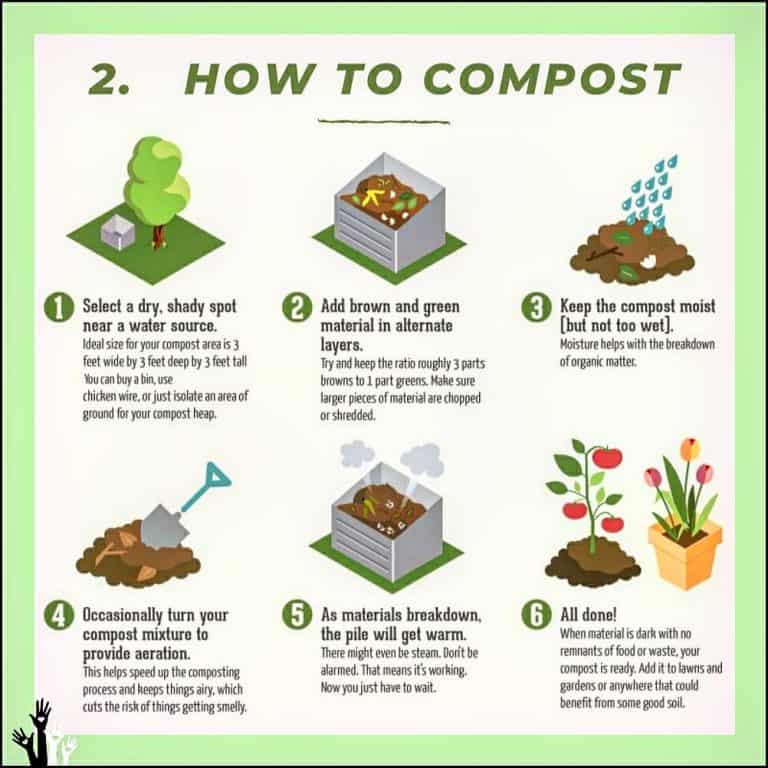 essay on home composting