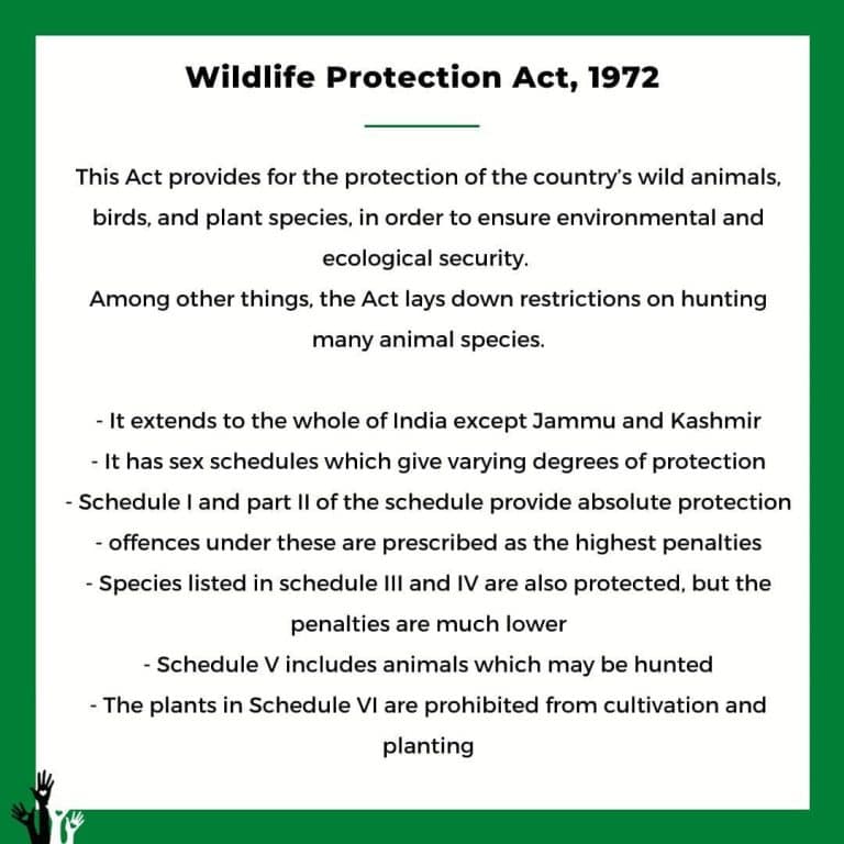 wildlife protection act 1972 essay